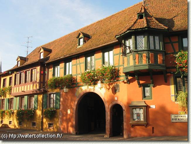 Diapositive suivante